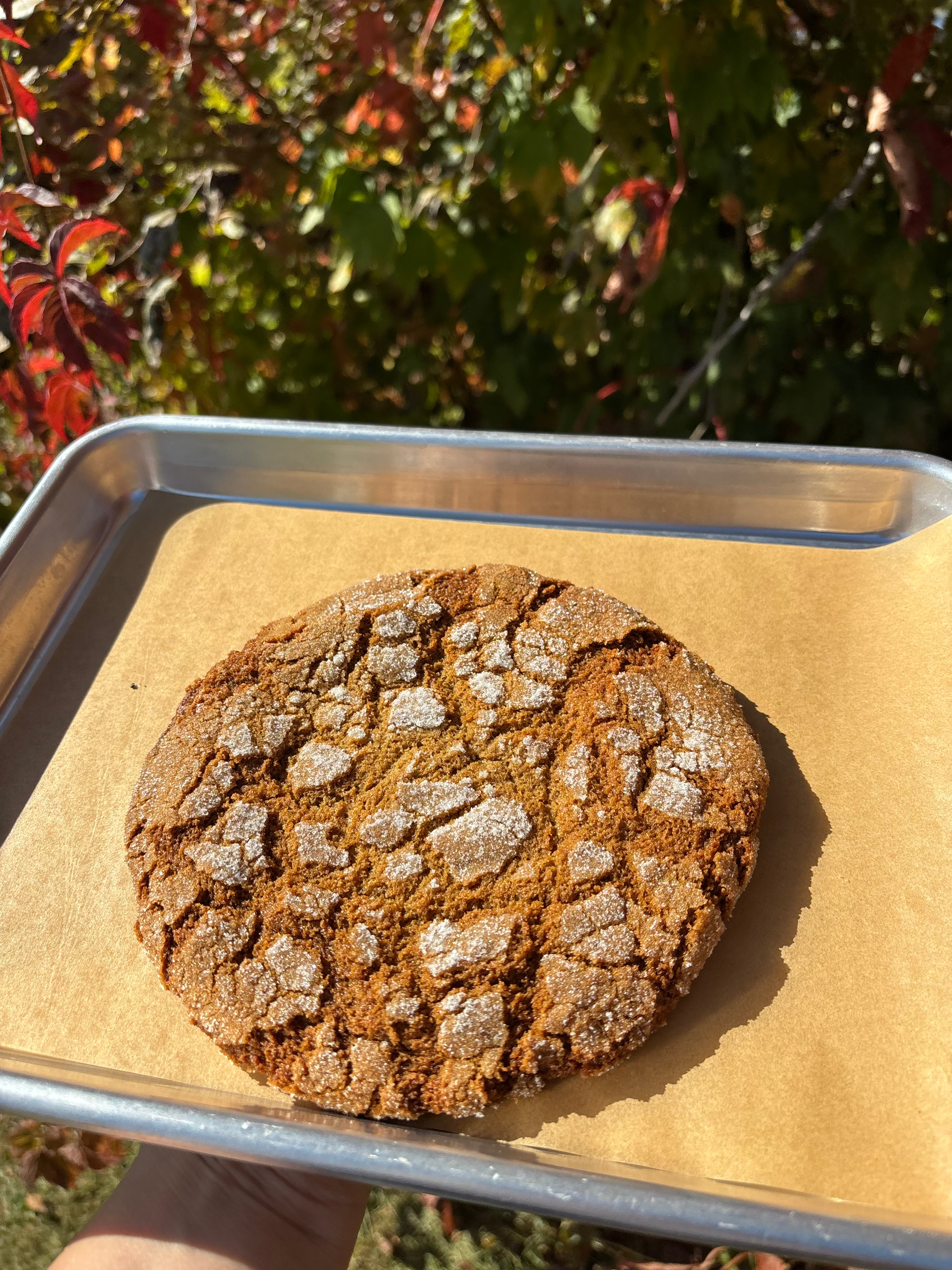Ginger Crinkle